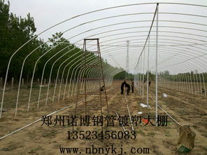 供應 大棚 骨架 溫室 大棚 骨架機 食用菌大棚 骨架